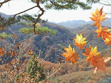 高阳县脑出血-高阳县脑出血手术医院