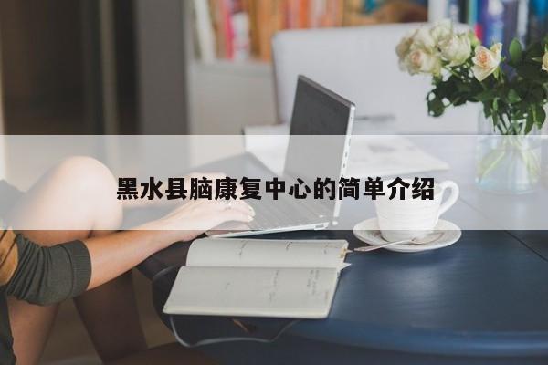 黑水县脑康复中心的简单介绍