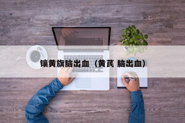 镶黄旗脑出血（黄芪 脑出血）